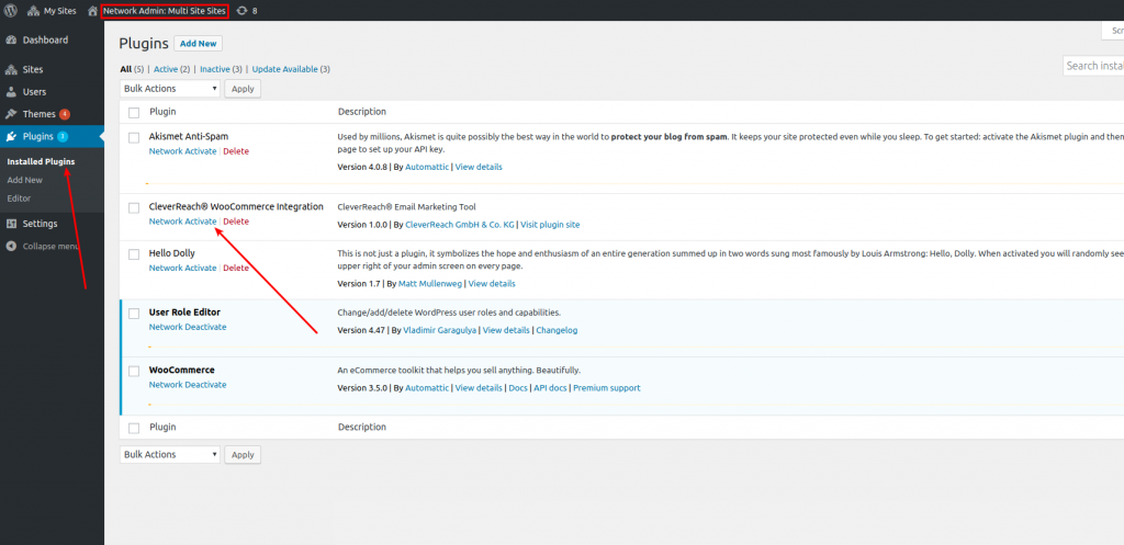 CleverReach®-WooCommerce-Plugin-activate-with-CleverReach®-WooCommerce activate Multisite