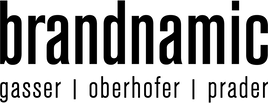 LOGO_brandnamic