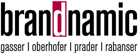 brandnamics_logo