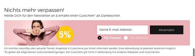 Newsletter-Anmeldung im Footer - E-Mail Marketing - CleverReach®