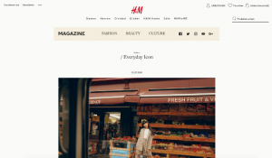 E-Mail Newsletter Adressgewinnung - Magazin H&M CleverReach®