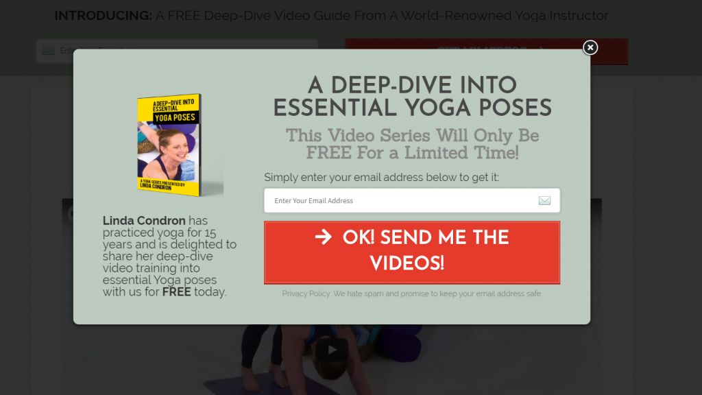 cleverreach_10-ways-win-new-recipients-address-email-marketing-pop-up